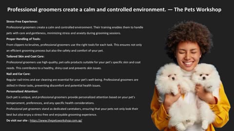 Professional groomers create a calm and controlled environment. — The Pets Workshop