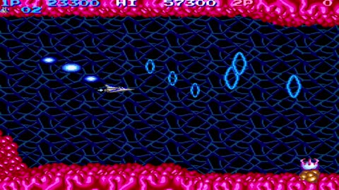 Salamander #retrogaming #arcadegame #nedeulers #salamander