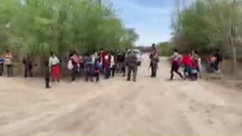 Another Group of Illegals