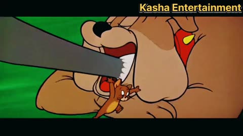 Tom and Jerry with dog entertainment