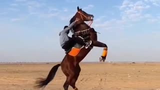 Super Horse