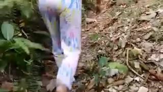 Jungle trekking