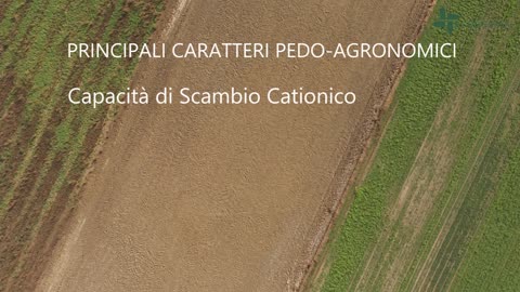 Ripristino Agronomico Bosco Pontone I Piacenza