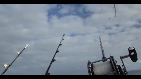 ASMR Fishing for blue marlin in the Atlantic