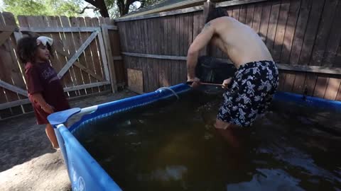 transferring fish to new pool pond