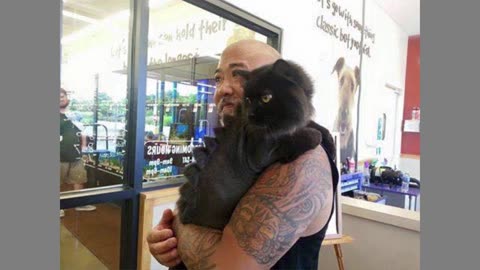 15 Cats With Dragon Hair Cuts Looking So Dangerous!