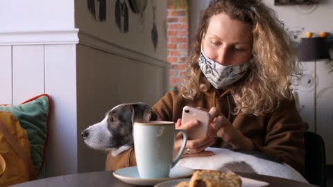 Woman Wearing Face Mask Sitting In Cafe With Dog Using Smartphone