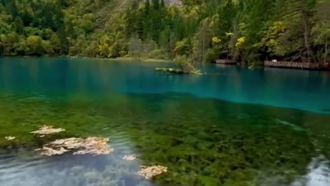 relax #wonderful #lake #fog #moutains #relax #scenery #sceneryvideos