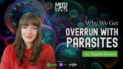 Why We Get Overrun with Parasites, with Angela Stinson - Mitolife Radio
