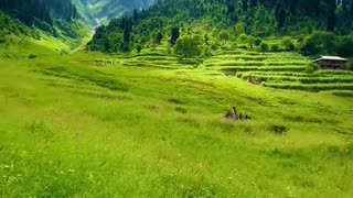 Beauty of kpk