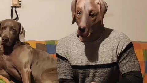 the dog finds his alien step brother