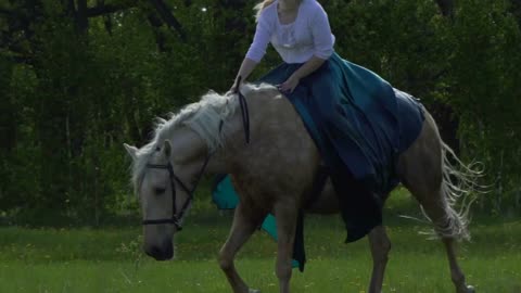Young beautiful woman rider riding a white horse on the field