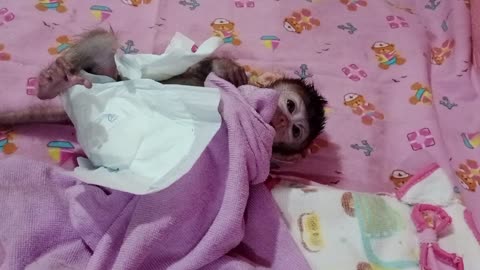 Joyce after bath, use diaper and drinks milk