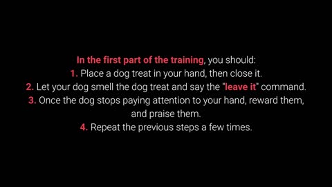 TRAIN YOUR DOG TO LEAVE IT - BASIC DOG TRAINING #3
