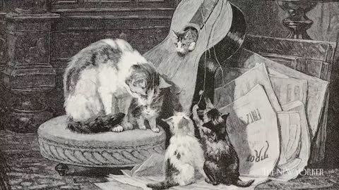 The New Yorker We take a look at how felines took over the Internet