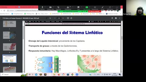 El Atrio y El Cuerpo Humano 19