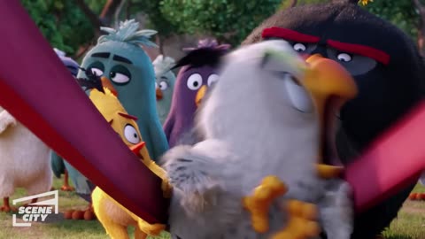 The Angry Birds Movie- Attacking the Castle (FAMILY COMEDY MOVIE HD CLIP)