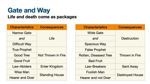 The Gate and The Way of Matthew 7: Video 12 - Understanding the Epistles