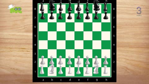 Chess for Beginners