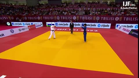 great combat final tbilisi 2022 georgia vs japan