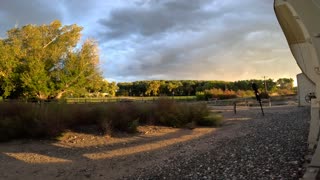 front range train cabview