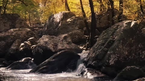 Beautiful Nature Videos - 4K Video HD