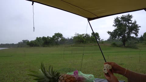 SOLO CAMPING IN THE RAIN - RELAXING SATISFYING WITH NEW TENT - ASMR - NATURE SOUNDS