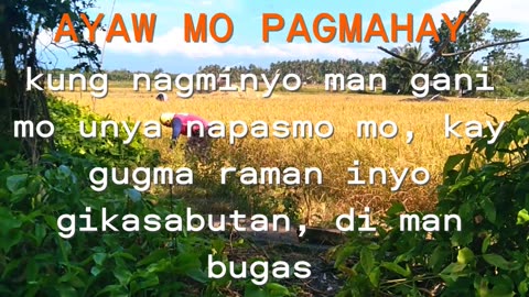 Ayaw mo pagmahay kung nagminyo mo unya napasmo mo kay gugma ra man inyong sabot di man bugas 🥹😁😂