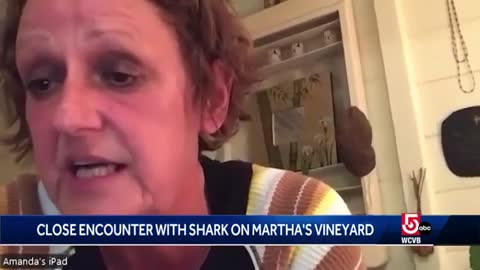 Woman recounts close encounter with shark while walking her dog on Martha's Vineyard