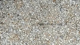 |ASMR| •Walking on Pebbles/Gravel•