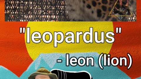 What do the words 'LEOPARD' and 'KOALA' MEAN?! | Early Morning Eland 24