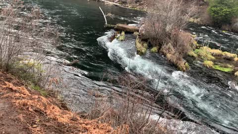 Hiking Beside Good Ole' Trusty Metolius River – Central Oregon