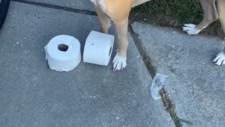 Naughty Dog Steals TP