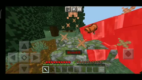 Minecraft revenger kill my pet#minecraft #gaming #viral