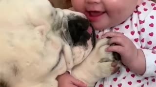 cuddling babies & pets