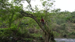 365 DAYS LIVING OFF GRID, Build Bushcraft Survival Shelter On Tree - Solo Bushcraft #59