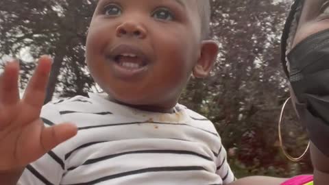 Little Boy Absolutely Loving Trolley Ride