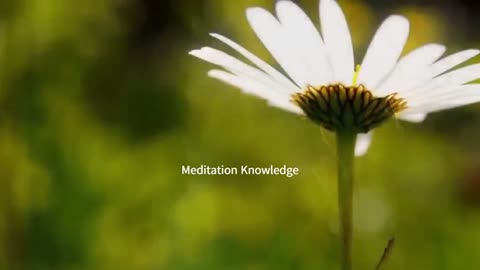 Meditation Music | Relaxing Music | Spritual Music | Mind Relaxing Music | #meditation|