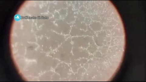 Vaccino Pfizer forma reticoli cristallini autoassemblandosi al microscopio