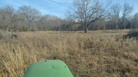 Daywalker hogs while on the John Deere