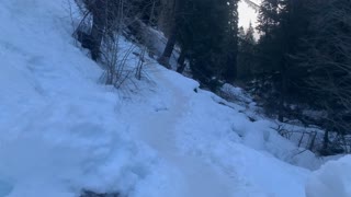 Incredible Ice & Snow Forest Trail in Winter – Tamanawas Falls – Mount Hood – Oregon – 4K