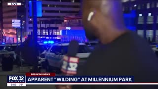 HCNN - Hundreds of teenagers flood into downtown Chicago, smashing