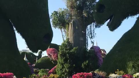 Dubai Miracle Garden#