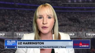 Liz Harrington: RNC needs to step up and protect voters from election fraud