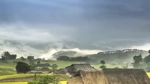 Beautiful farming short video
