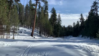 Gorgeous Snowy Open Spaces – Ochoco National Forest – Bandit Springs Sno-Park – Central Oregon – 4K