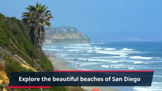 Things to do: 6 Exciting things to do in San Diego!