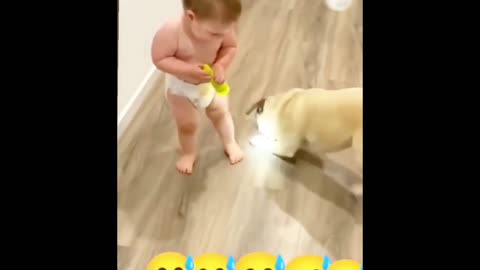 Wait For It | Funny Animal Vedios 🤣🤣