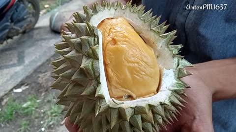 THE MOST DELICIOUS FRUIT IN THE WORLD - DURIAN