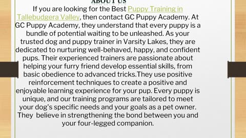 The Best Puppy Training in Tallebudgera Valley